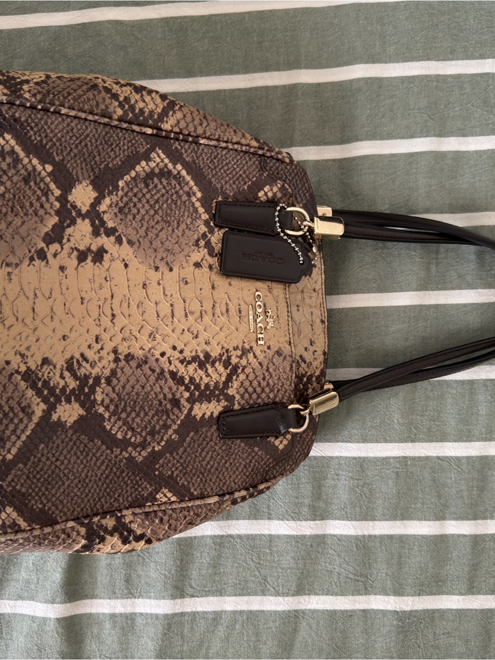 Coach Snake-Print Shoulder Bag in Taupe and Dark Brown